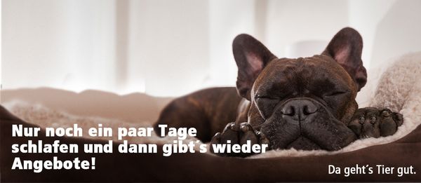 Platzhalter Angebotsprospekt