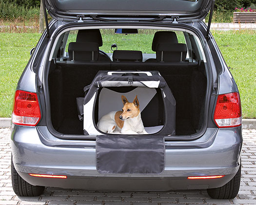 Hund in Transportbox