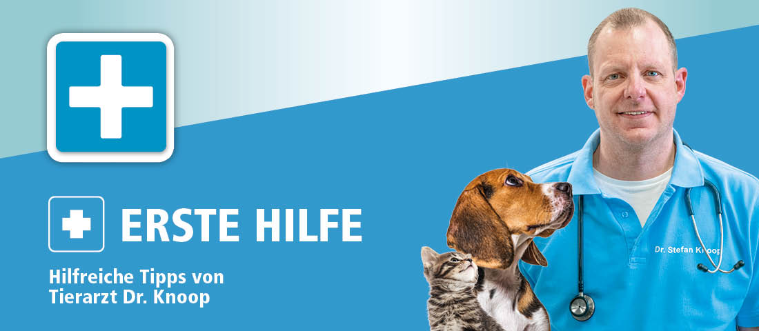 Tiergesundheit - Erste Hilfe